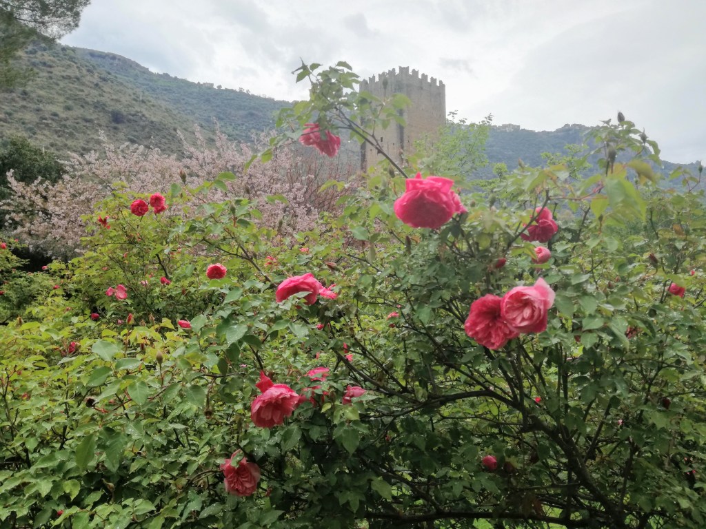Giardino di Ninfa - roseto