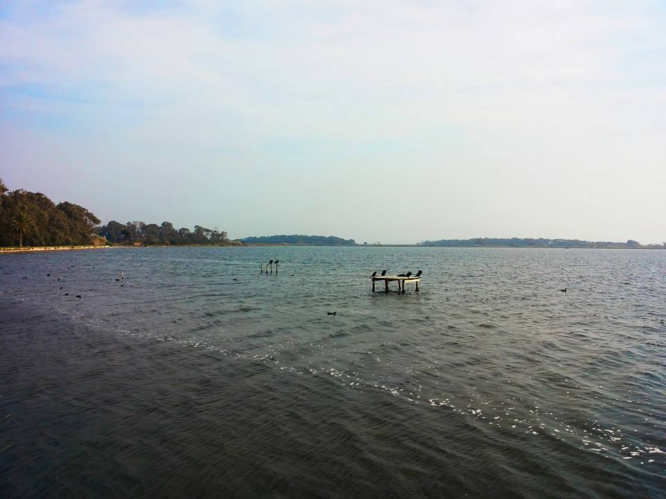 Lago di Fogliano - birdwatching - foto credits: Katarzyna Leszczynska