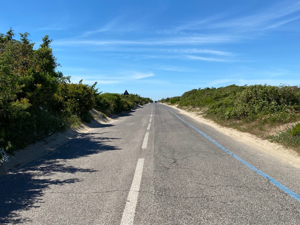 La strada che percorre la sommità della Duna Litoranea alle spalle della spiaggia di Sabaudia. Ricca di vegetazione, separa la spiaggia dai laghi costieri alle sue spallle. 