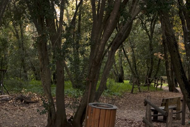 Area dell'Oasi di Palo Laziale