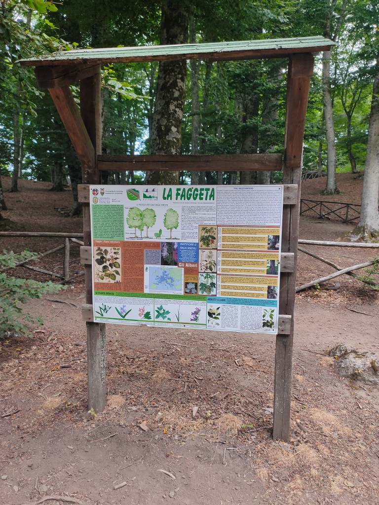 La Faggeta del Monte Cimino - Ingresso all'area verde