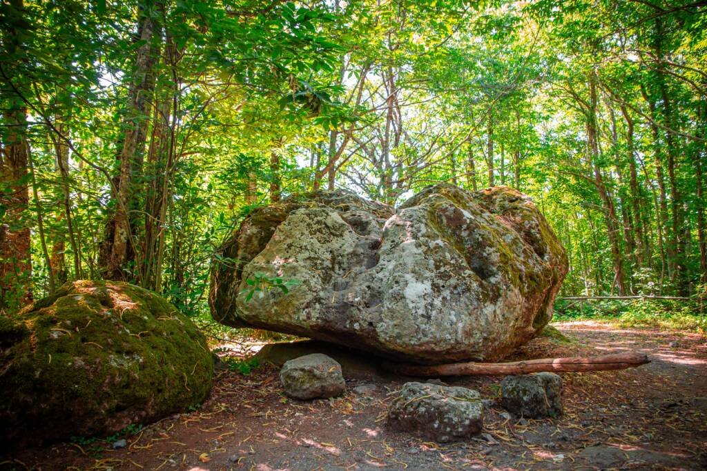 Faggeta del Monte Cimino - Rupe Tremante