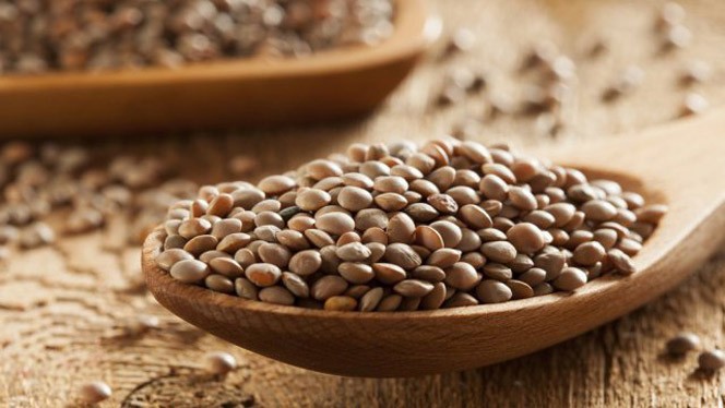 Le Lenticchie di Onano